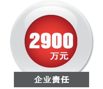 2900万元企业责任